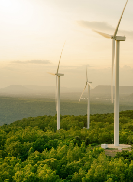 Tate Planet Passionate