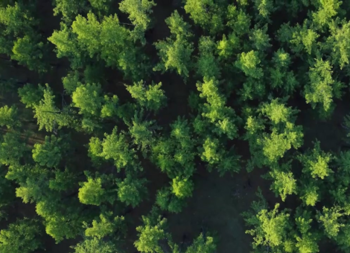 Tate Cross Sell Sustainability Full Image En Eu