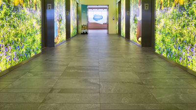 Tate Salesforce Hallway Case Study Banner Desktop Image En Us
