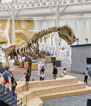 Tate Frisco Public Library Dino Case Study Listing Desktop Image En Us